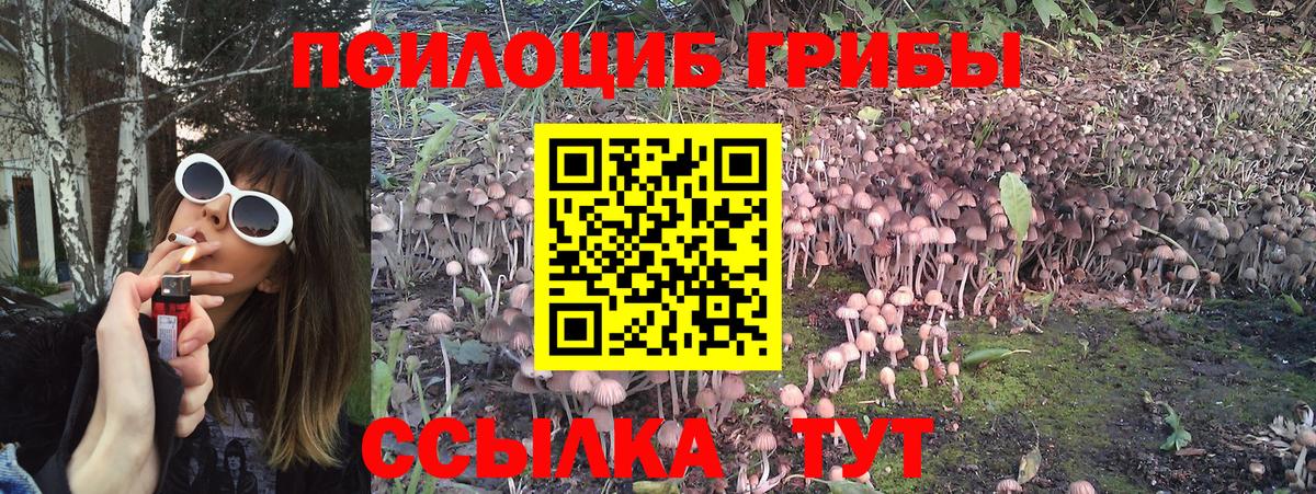 Алексеевка  Галлюциногенные грибы MAGIC MUSHROOMS  Вход с VPN 