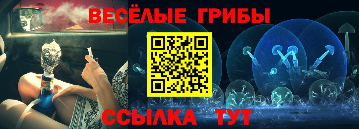 Псилоцибиновые грибы мухоморы Алексеевка